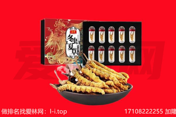 深圳光明区回收虫草.jpg